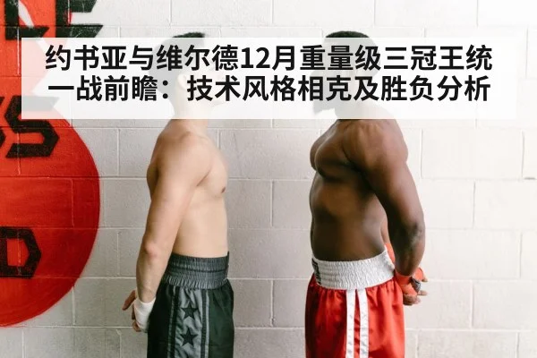 约书亚与维尔德12月重量级三冠王统一战前瞻:技术风格相克及胜负分析